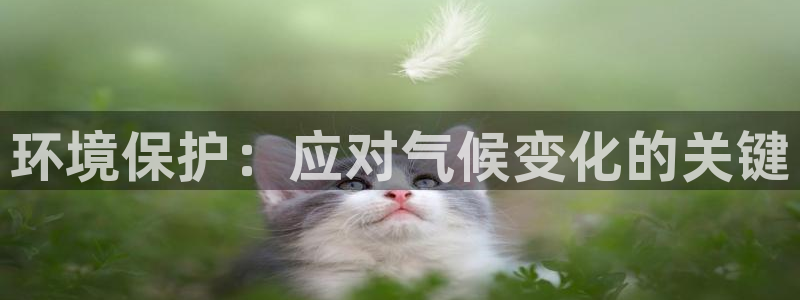jdb电子体育