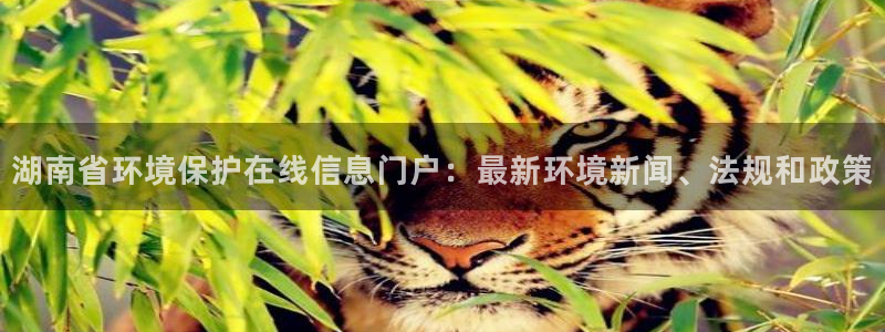 jdb电子平台地址大全