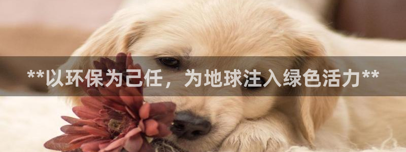 jdb变脸游戏规律
