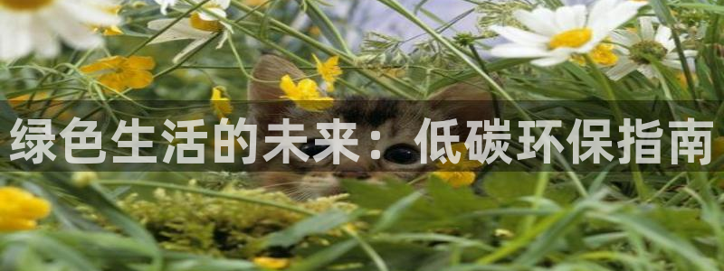 jdb游戏视频