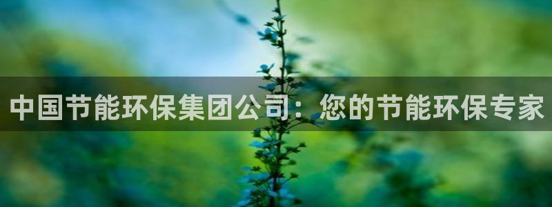 JDB电子官方