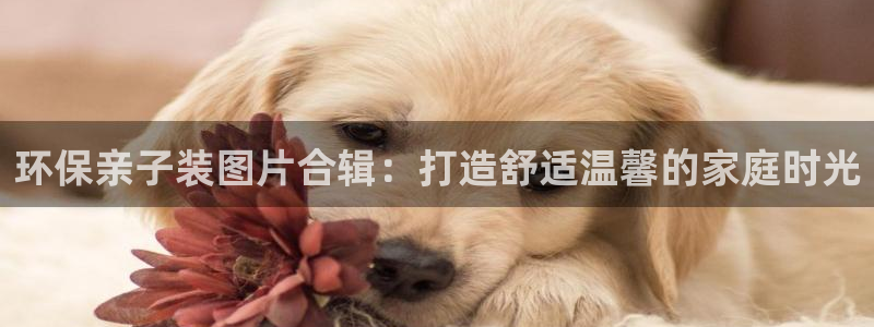 jdb电子平台网址大全
