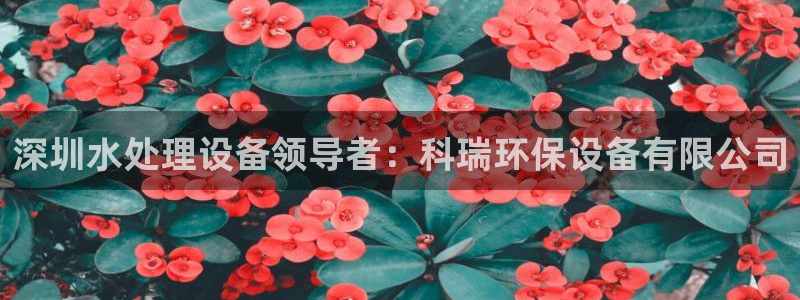 jdbc2.1.apk