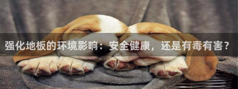 jdb游戏官网