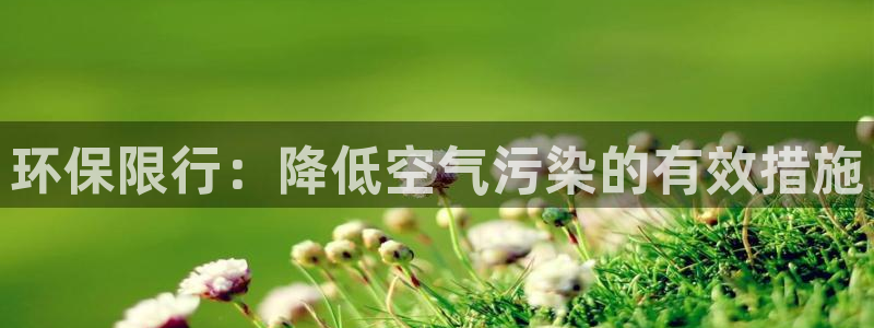 Jdb电子模拟器
