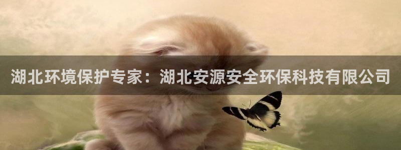 jdb试玩网