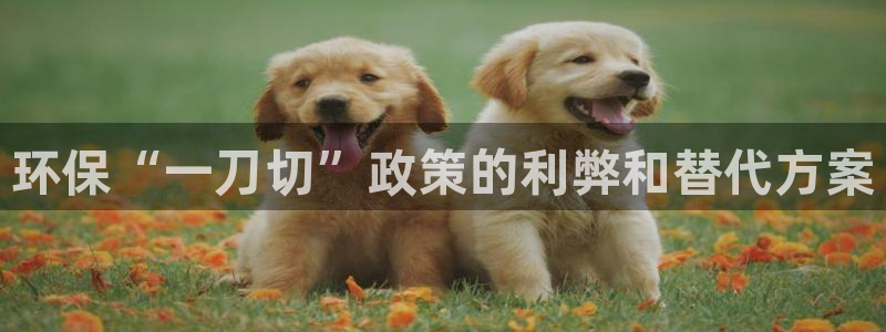 jdb电子游戏官方网站