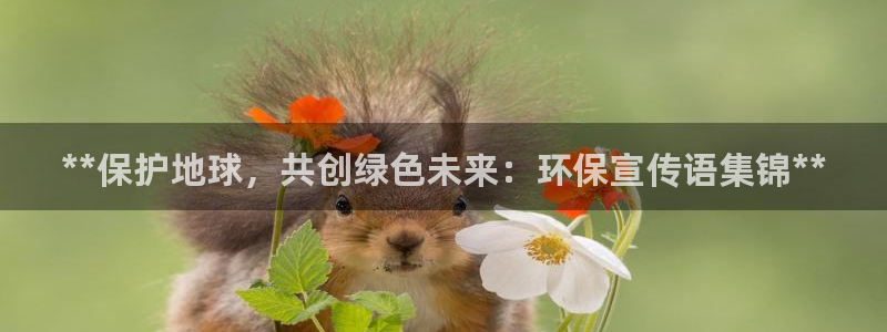 JDB电子官方