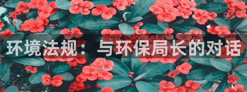 JDB电子龙舞