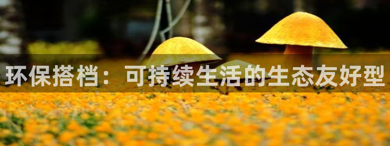 JDB电子猎龙高手官方网站官方网站是多少