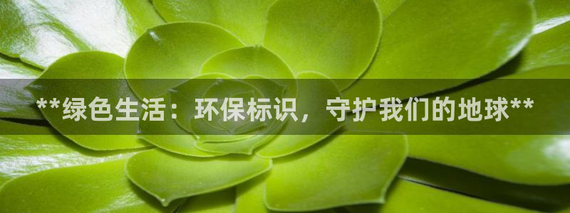jdb电子试玩网页