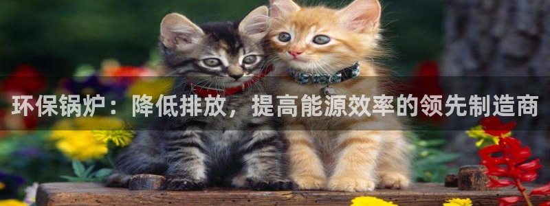 jdb电子夺宝奖池规则