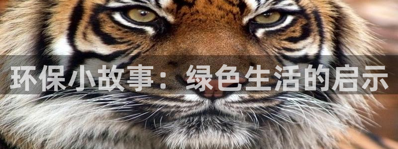 jdb夺宝试玩