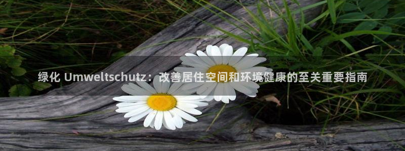 jdb电子官方app