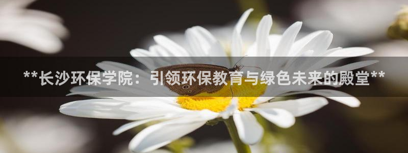 jdb游戏经验