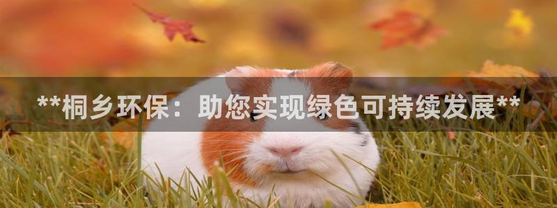jdb电子平台官网