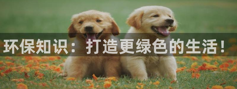 jdb试玩官网