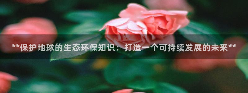 jdb平台是哪个公司