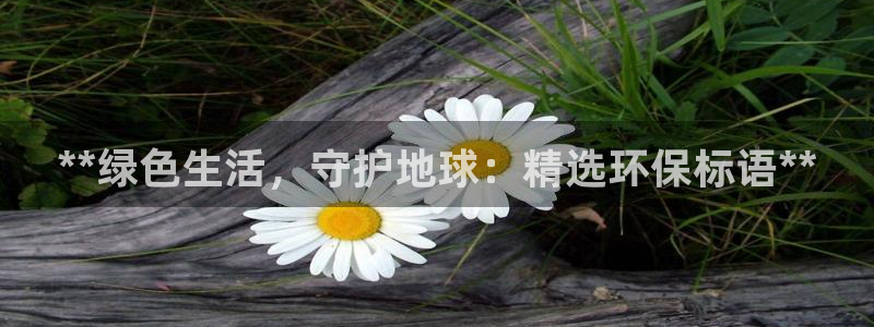 JDB电子公司官网