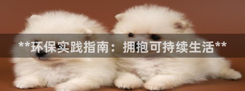jdb电子游戏采矿宝贝
