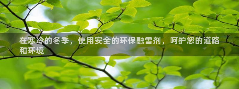 jdb电子平台台湾黑熊