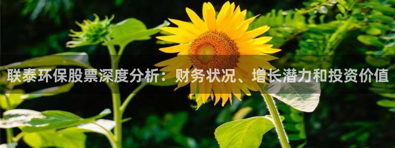 JDB电子中国游戏网站