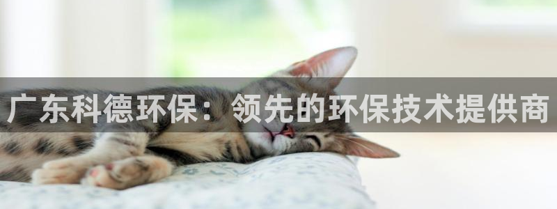 jdb电子变脸破解