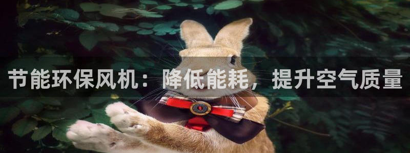 jdb电子入口