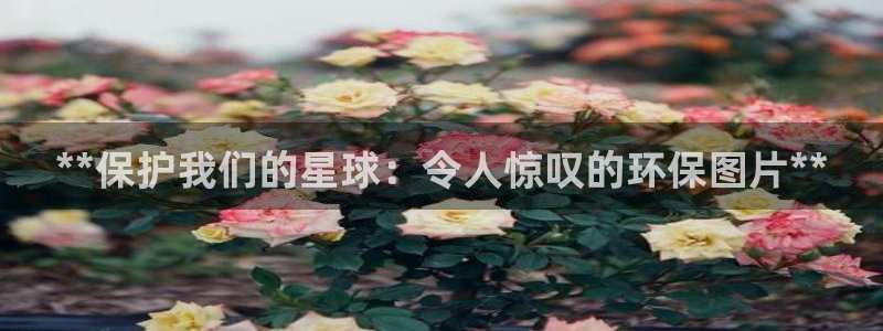 JDB游戏官方网站