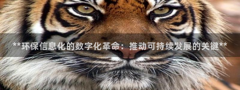 jdb电子游戏雷神之锤