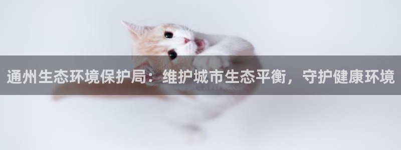 jdb电子游戏浪花2视频