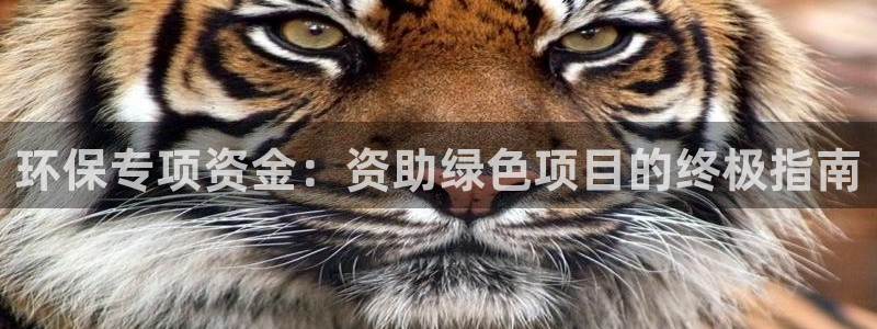 jdb电子奖池规则