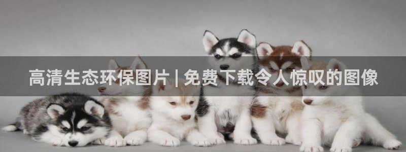 JDB平台临时维护
