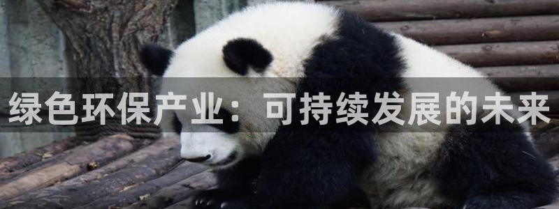 jdb电子台湾黑熊