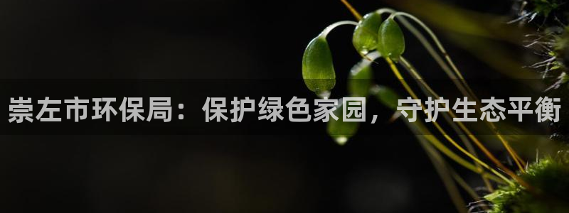 jdb在线平台