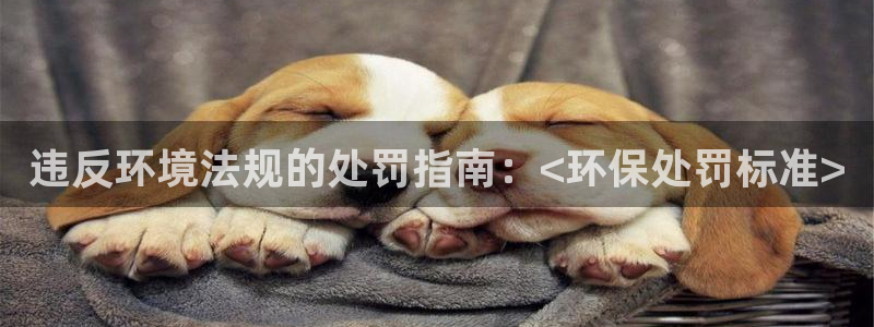 jdb游戏爆分时间段 英文网