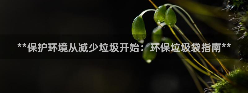 jdb飞鸟派对bug