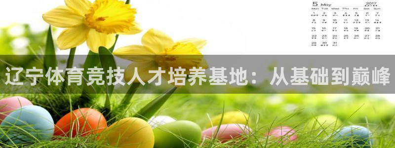 77体育app下载官网