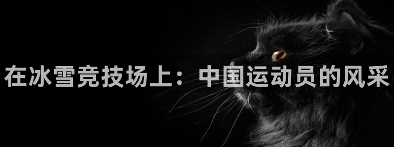 77体育app下载官网