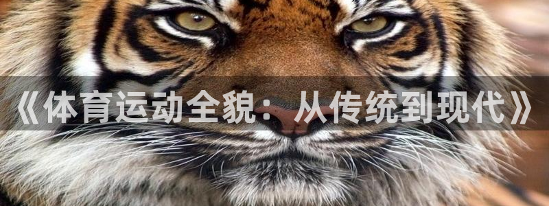 77体育