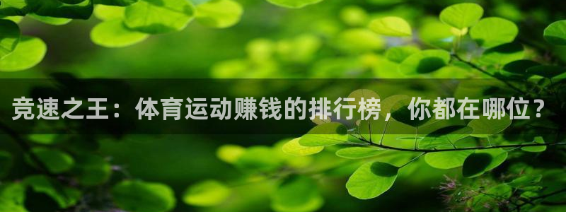 77体育app下载官网