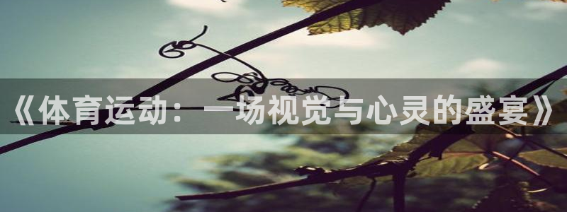 77体育