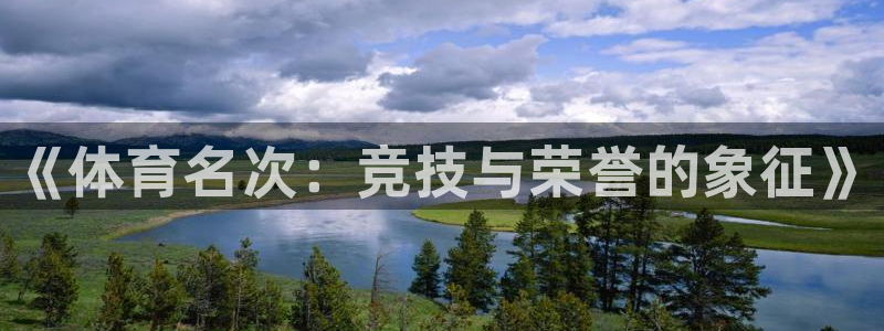 77体育官网