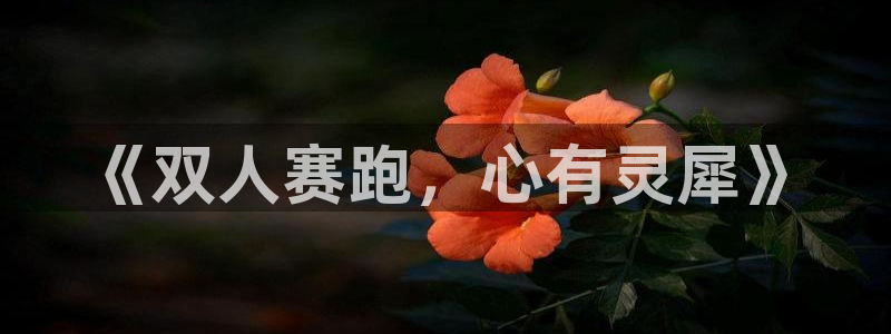77体育官网