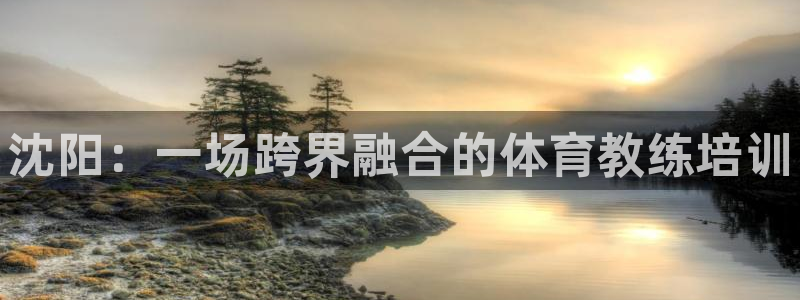 77体育官网