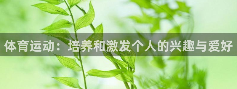 77体育