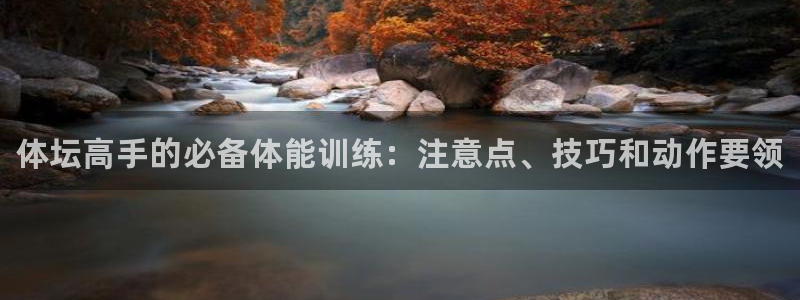 77体育官网