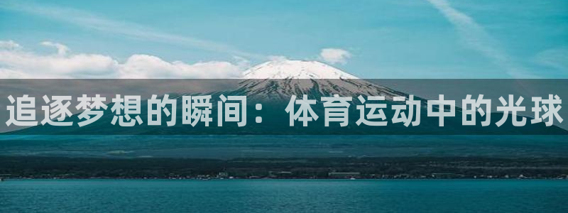 77体育官网