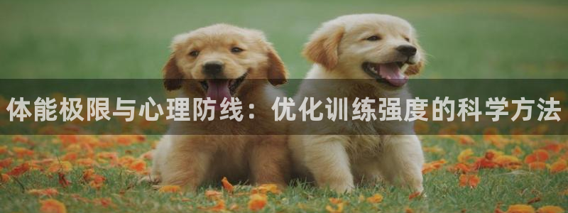 皇冠277体育