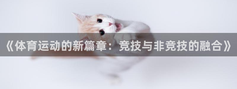 77体育官网